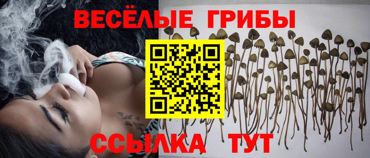 Галлюциногенные грибы Cubensis  Вход с VPN  наркота  Павлово 